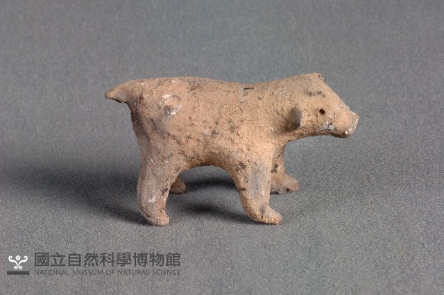豬偶藏品圖，第1張