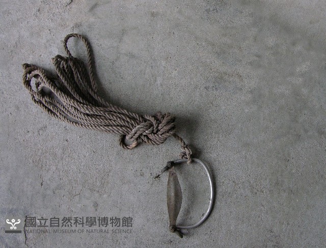 牛鼻環藏品圖，第1張