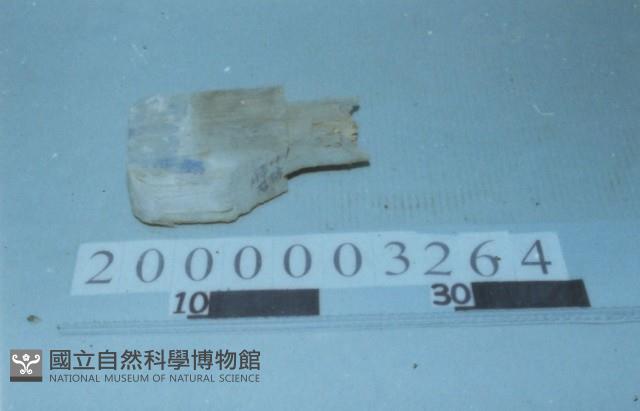 廟宇構件藏品圖，第1張