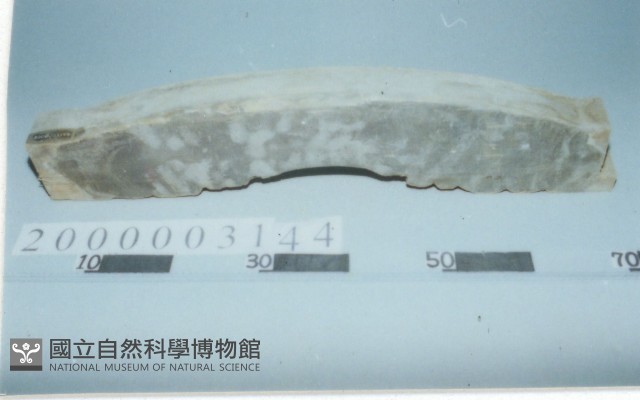 廟宇木構件藏品圖，第1張