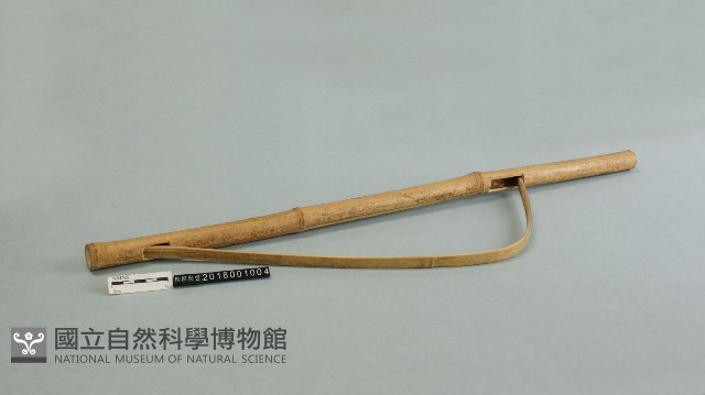 弓琴藏品圖，第1張