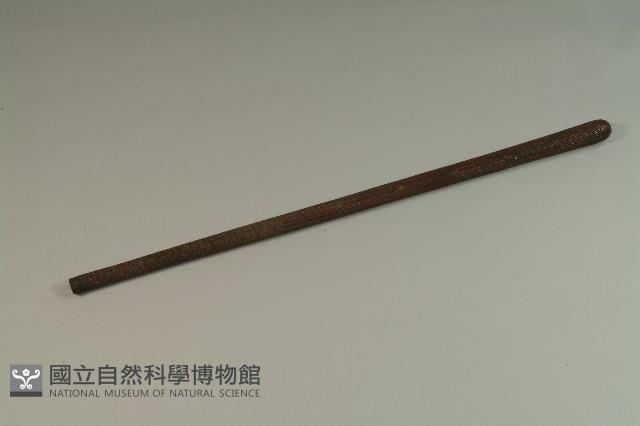 星形鑲嵌棍棒（星形鑲嵌棒）藏品圖，第1張