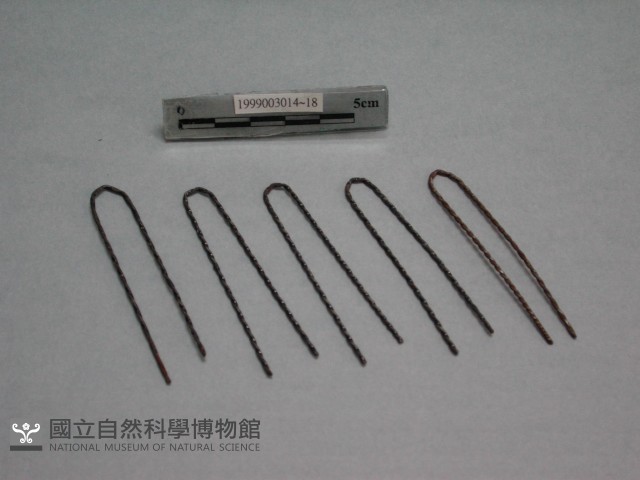 髮夾藏品圖，第1張