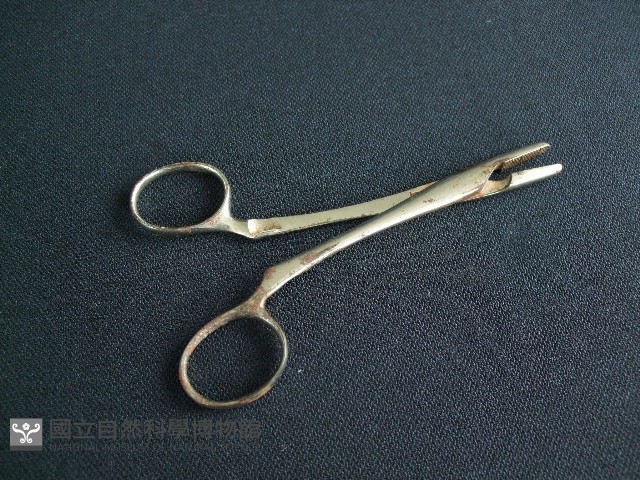 鉗子藏品圖，第1張