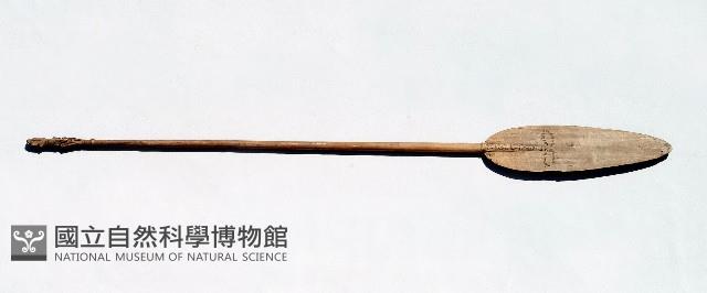 槳藏品圖，第1張