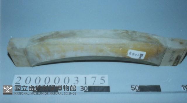 廟宇木構件藏品圖，第1張