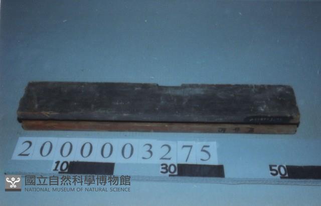 廟宇木構件藏品圖，第1張