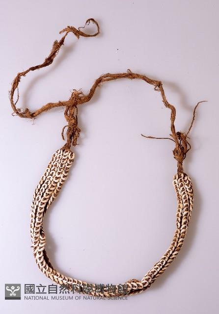 頭帶藏品圖，第1張