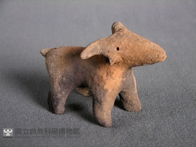 羊偶藏品圖，第1張