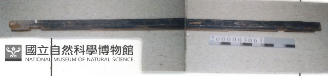廟宇木構件藏品圖，第1張