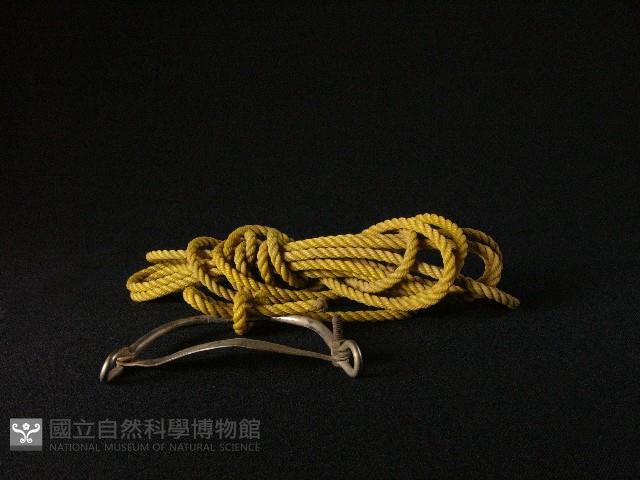 牛鼻環藏品圖，第1張