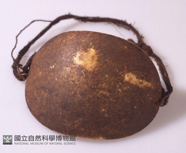 頸飾藏品圖，第1張