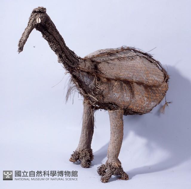 食火雞像藏品圖，第1張