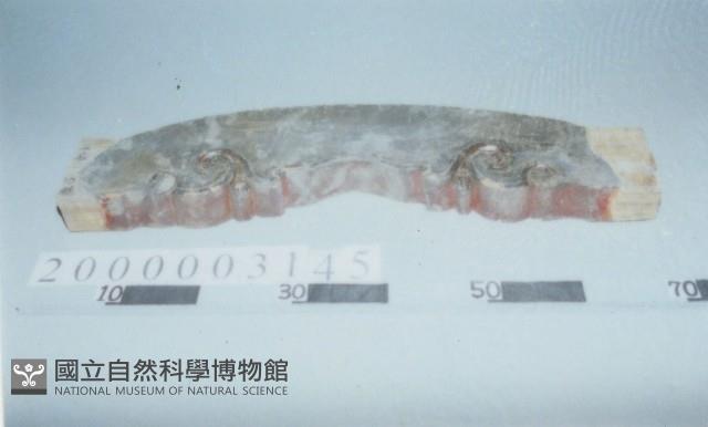 廟宇木構件藏品圖，第1張