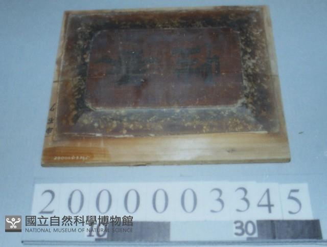 廟宇木構件藏品圖，第1張