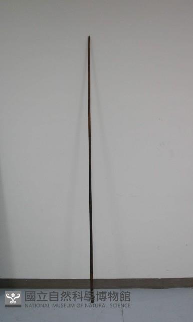 梳棍藏品圖，第1張