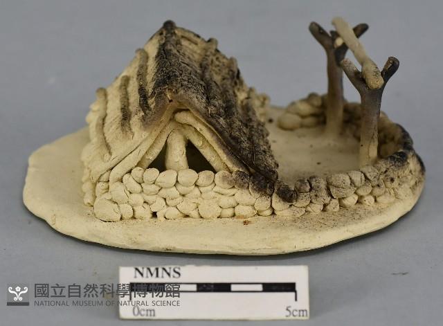 房子藏品圖，第1張