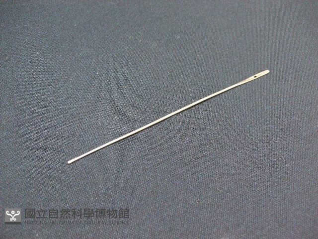 探針(長條)藏品圖，第1張