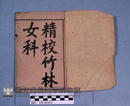 精校竹林女科藏品圖，第1張