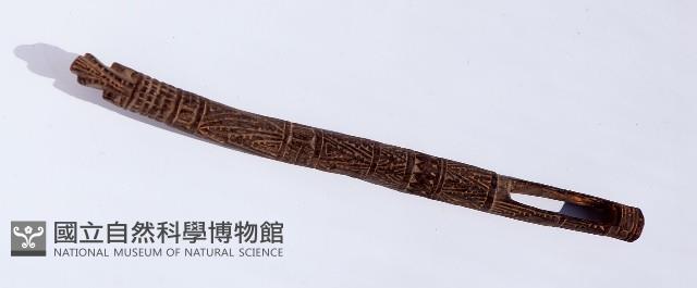 Accession Number:1993008025 Collection Image