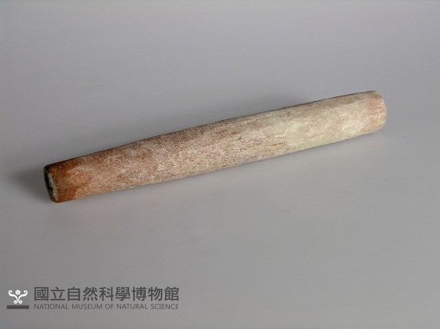 打棒藏品圖，第1張