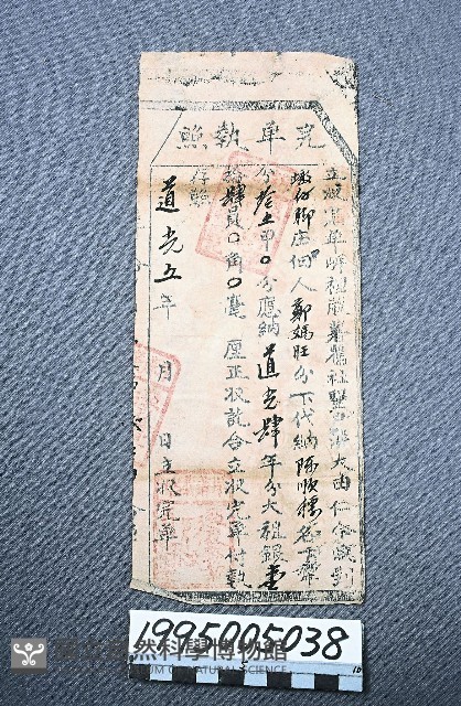 完單執照藏品圖，第1張