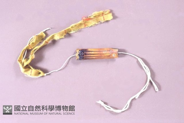 口琴藏品圖，第1張