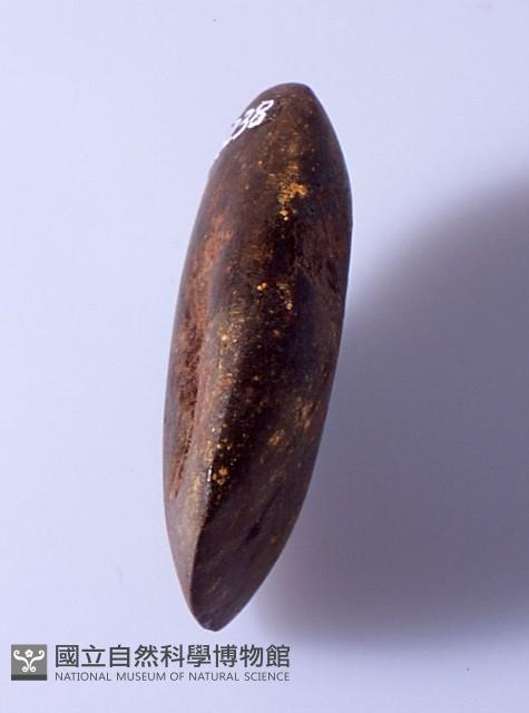 石錛藏品圖，第1張