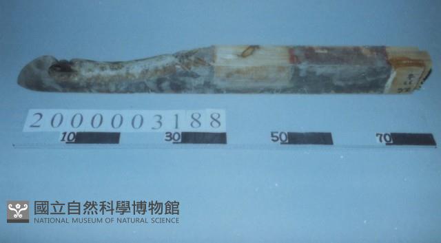 廟宇木構件藏品圖，第1張