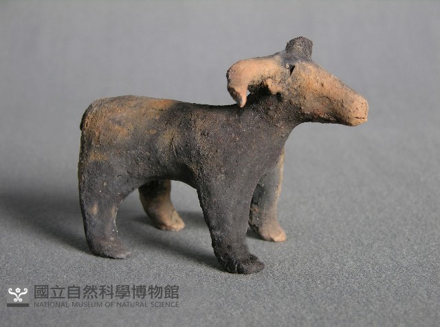 羊偶藏品圖，第1張