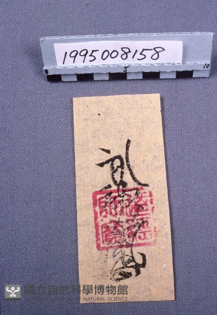 符藏品圖，第1張