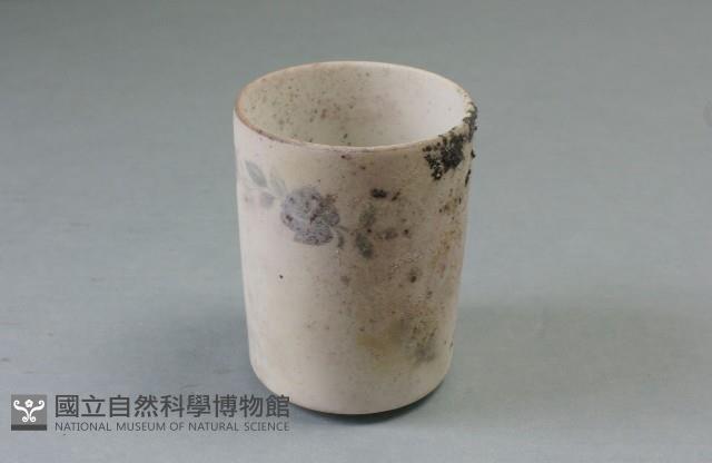 杯子藏品圖，第1張