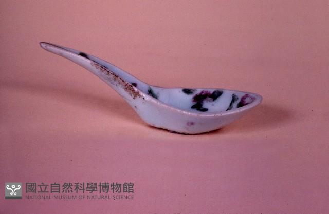 匙藏品圖，第1張