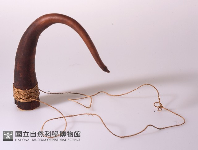 陽物套藏品圖，第1張