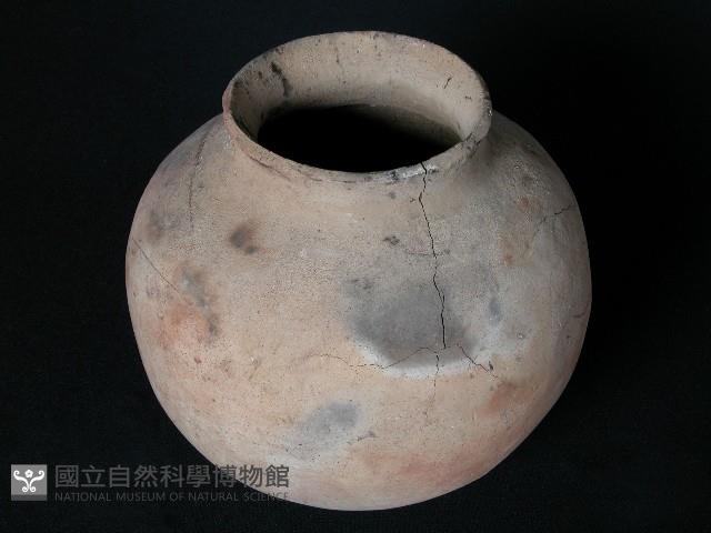 Accession Number:2005009018 Collection Image