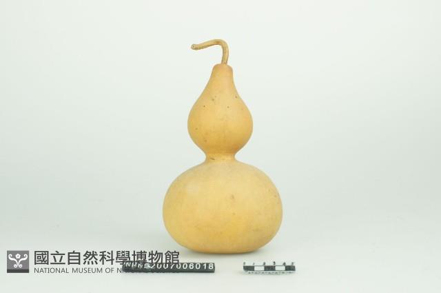 瓢杓藏品圖，第1張