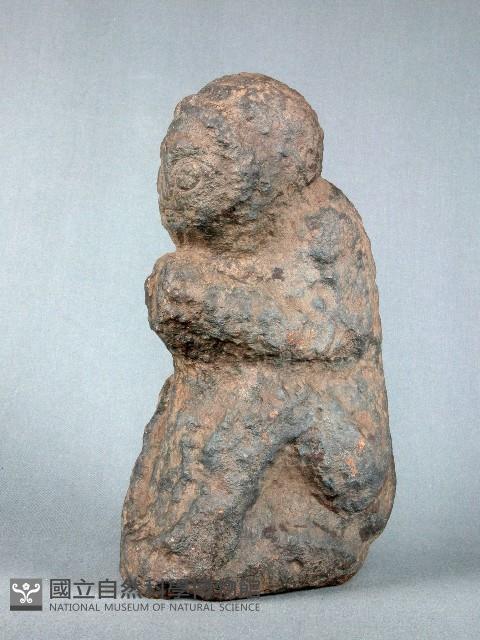 Accession Number:0000001018 Collection Image