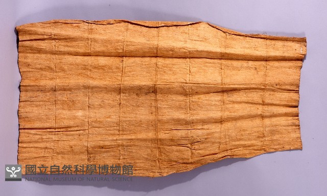 素色樹皮布衣藏品圖，第1張