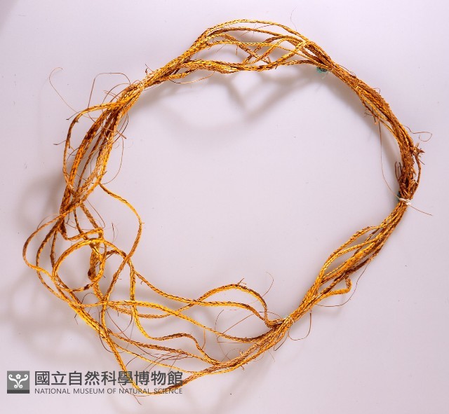 飾物藏品圖，第1張