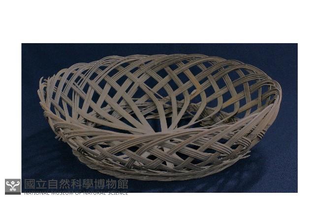 秧披藏品圖，第1張