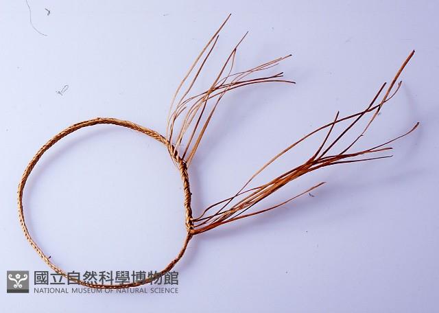 臂環藏品圖，第1張