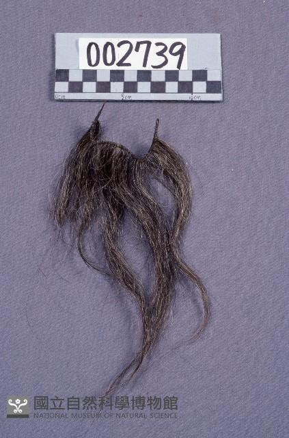 布袋戲道具(鬚)藏品圖，第1張