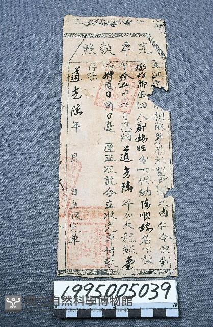 完單執照藏品圖，第1張