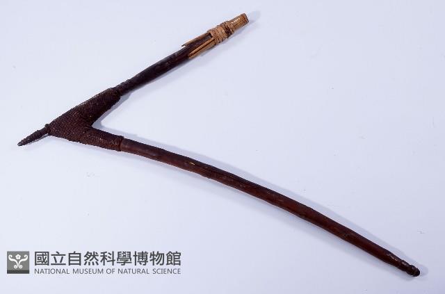 杵藏品圖，第1張