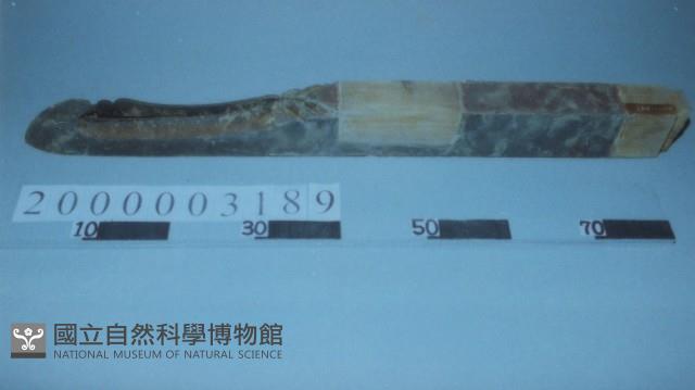 廟宇木構件藏品圖，第1張