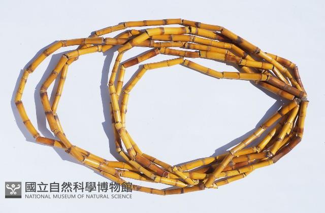 頸飾藏品圖，第1張