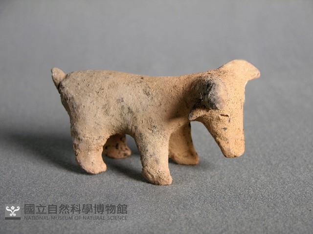 羊偶藏品圖，第1張