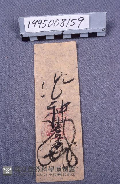 符藏品圖，第1張