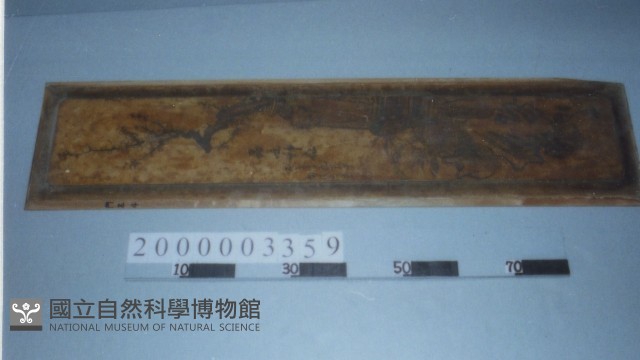 廟宇木構件藏品圖，第1張