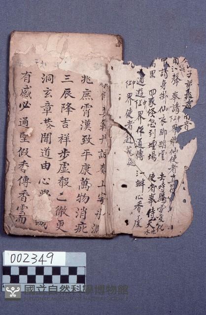 Accession Number:0000002349 Collection Image